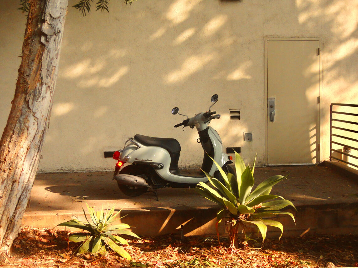 12.4.2024 i'd rather get ran over by this than a bird scooter.