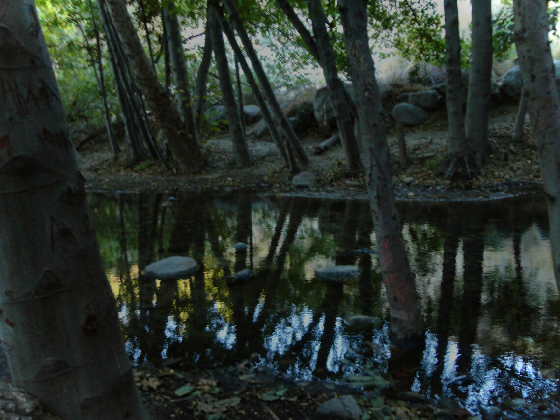 10.24.2024 eaton canyon! something about this creek is shakespearean to me. don't ask how.
